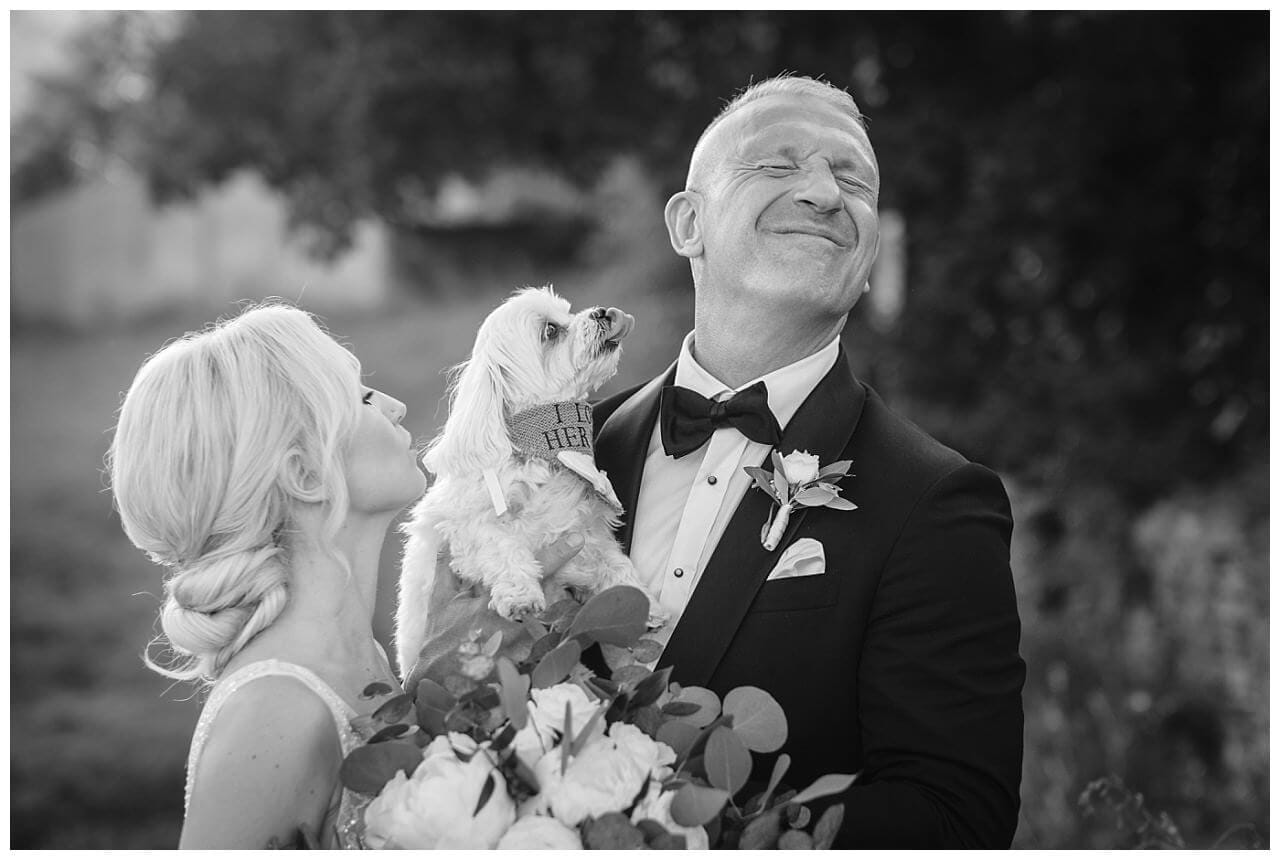 Brautpaar mit Hund schwarz weiß bei ihrer Hochzeit in einer Finka in Istrien Kroatien